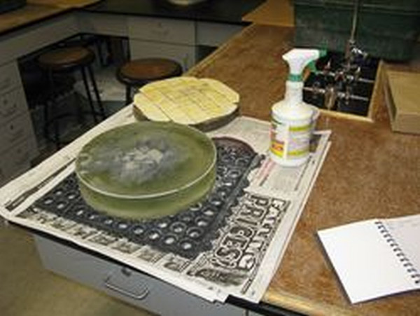 The basic setup, mirror blank on rubber mat, tool, and water bottle (grit behind)