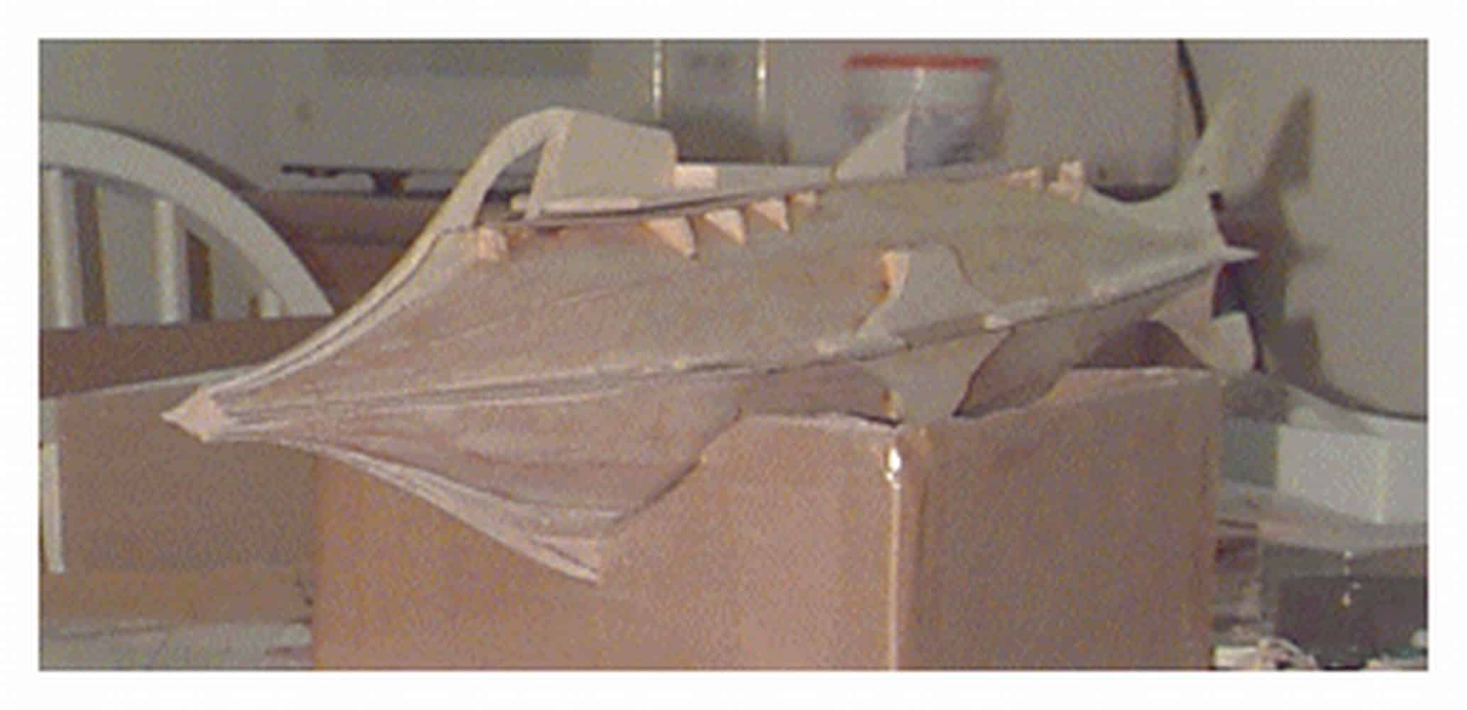 This view shows the deck in place and the supports (backing) for the large observation windows on the side of the hull