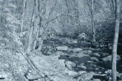 Great Smoky Mountains