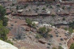 Islands in the Sky, Canyonlands National