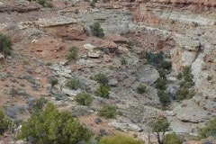 Islands in the Sky, Canyonlands National