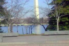 Washington DC, Washington monument from FDR memorial