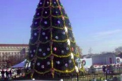 Washington DC, national Christmas tree