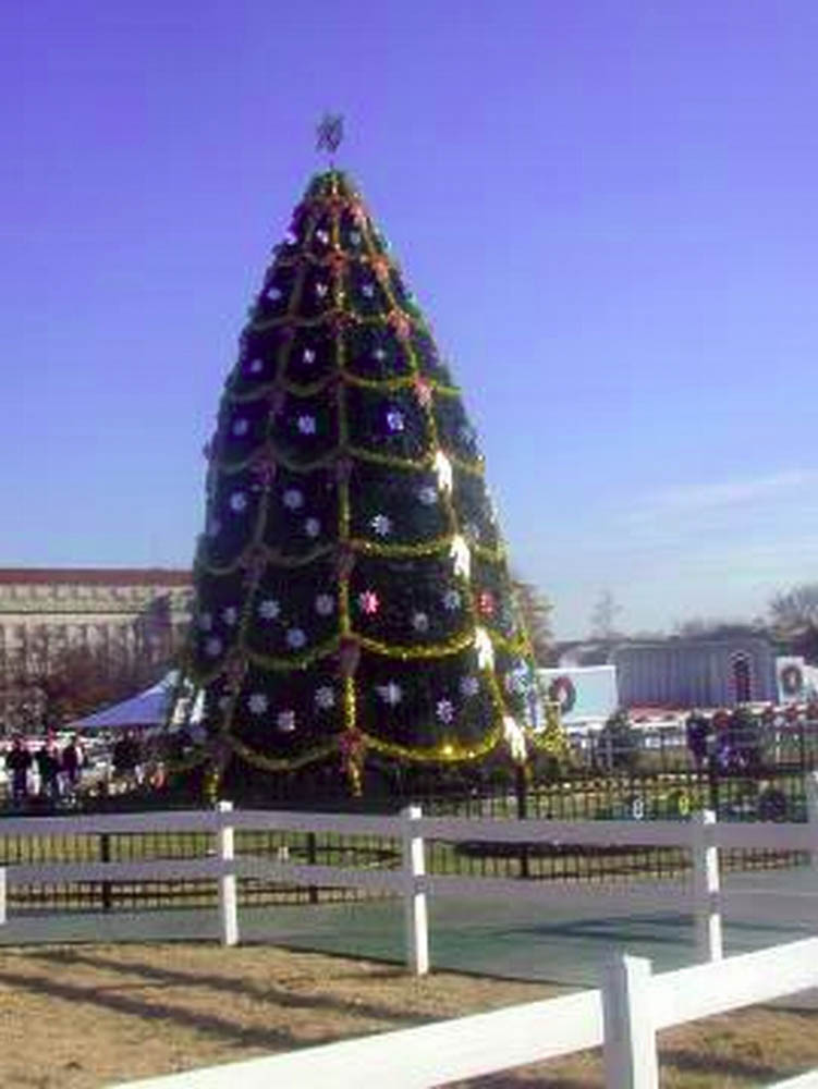 Washington DC, national Christmas tree