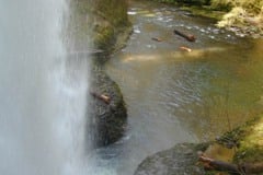 Silver Falls State Park