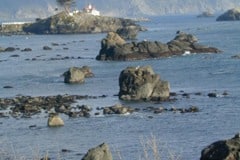 Crescent City, Battery Point lighthouse