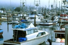 Crescent City harbor