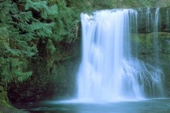 Silver Falls State Park