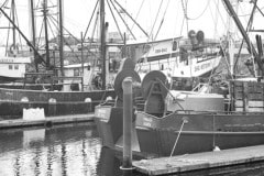 Crescent City harbor