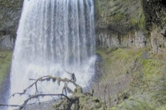 Silver Falls State Park