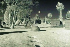 Hollywood Forever Cemetery