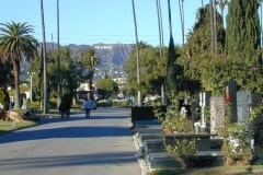 Hollywood Forever Cemetery