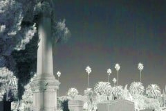 Hollywood Forever Cemetery