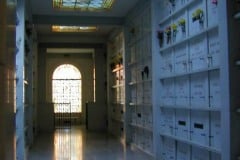 Hollywood Forever Cemetery