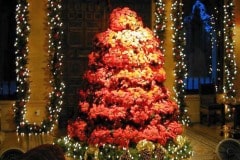Hearst castle at Christmas