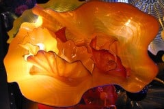 Montery Bay Aquarium