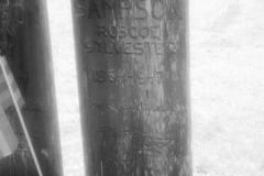 Westport cemetery