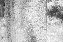 Westport cemetery
