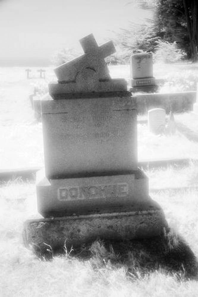Cuffy's Cove cemetery