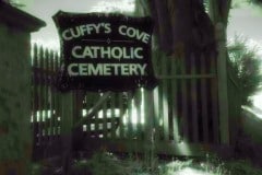 Cuffy's Cove cemetery