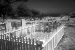 Cuffy's Cove cemetery