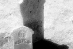 Cuffy's Cove cemetery