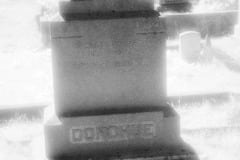 Cuffy's Cove cemetery