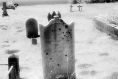 Cuffy's Cove cemetery