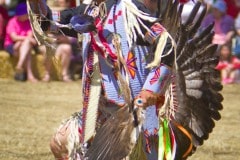 Stanford Powwow