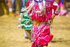 Stanford Powwow