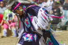 Stanford Powwow