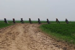 Driving Route 66, Cadillac Ranch