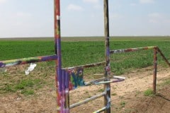 Driving Route 66, Cadillac Ranch