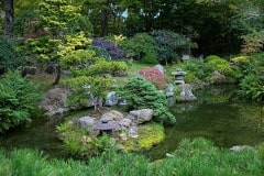 Golden Gate Park, Japanese tea Garden