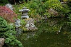 Golden Gate Park, Japanese tea Garden