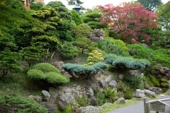 Golden Gate Park, Japanese tea Garden