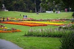 Golden Gate Park