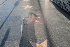 Hollywood Walk of Fame, Anne Baxter and Harold Robbins stars