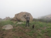 In Alpine taking a basic falconry session with Sky Falconry