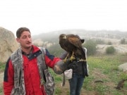 In Alpine taking a basic falconry session with Sky Falconry
