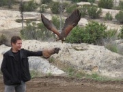 In Alpine taking a basic falconry session with Sky Falconry