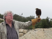 In Alpine taking a basic falconry session with Sky Falconry