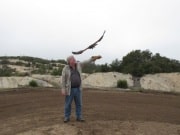 In Alpine taking a basic falconry session with Sky Falconry