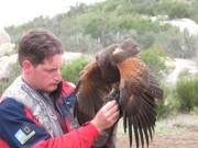 In Alpine taking a basic falconry session with Sky Falconry