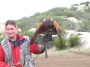 In Alpine taking a basic falconry session with Sky Falconry