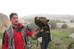 In Alpine taking a basic falconry session with Sky Falconry