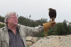 In Alpine taking a basic falconry session with Sky Falconry