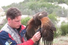 In Alpine taking a basic falconry session with Sky Falconry