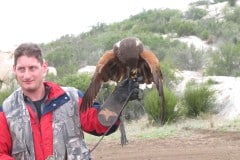 In Alpine taking a basic falconry session with Sky Falconry