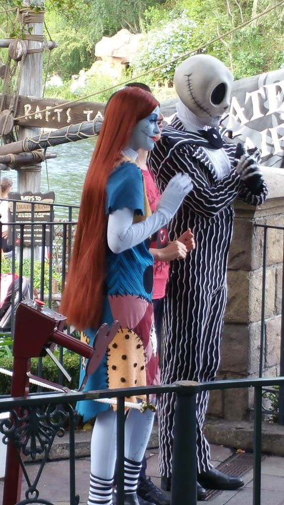 Jack Skellington and Salley from Nightmare before Christmas